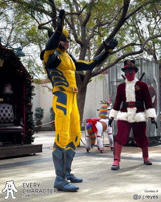 Santa Pool & Wolverine Santa Pool & Wolverine