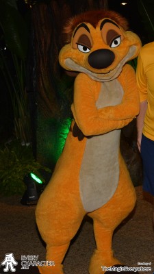 Timon in the Regular Look - 2012-... Outfit Timon in the Regular Look - 2012-... Outfit