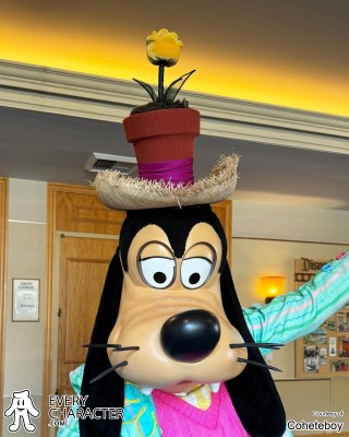 Goofy Goofy
