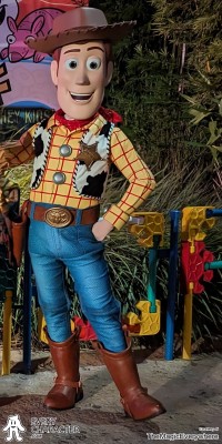 Woody in the Regular Look - 2021-... Outfit Woody in the Regular Look - 2021-... Outfit