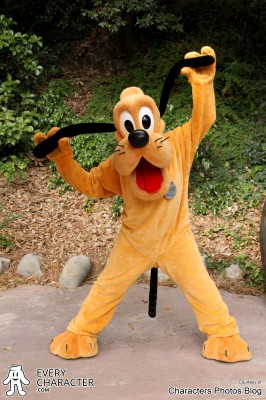 Pluto - Such a Good Boy Pluto - Such a Good Boy