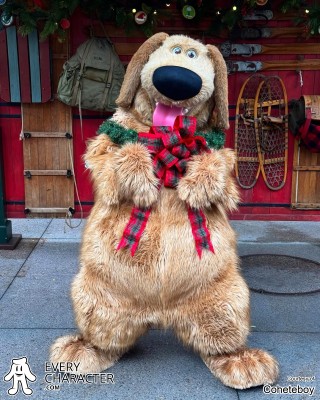 DLR - Christmas 2024 Dug in the DLR - Christmas 2024 Outfit