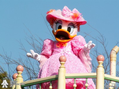 Daisy Duck in the TDL - Disney Dreams on Parade Outfit