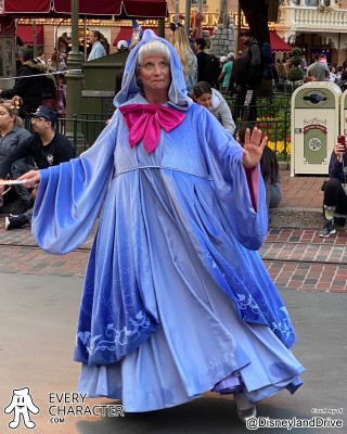 Fairy Godmother in the Regular Look - 2017-... - Face Outfit Fairy Godmother in the Regular Look - 2017-... - Face Outfit
