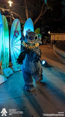 Stitch with Lei in the Regular Look - 2013-... Lei Outfit Stitch with Lei in the Regular Look - 2013-... Lei Outfit