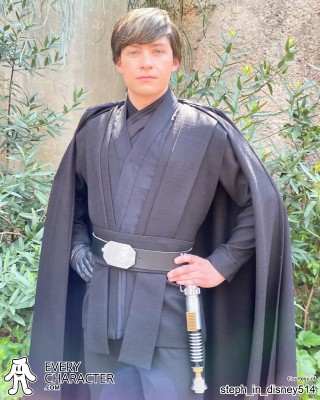 Skywalker Skywalker