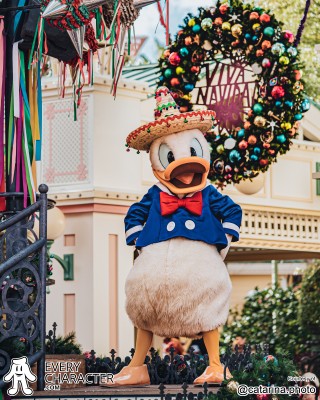 Donald Duck Donald Duck
