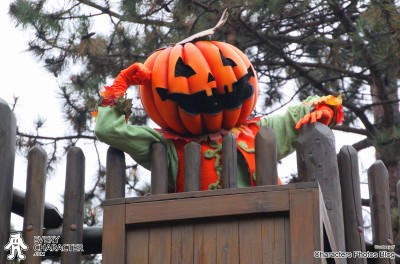Pumpkin Man Pumpkin Man