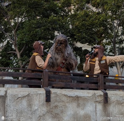 Chewbacca in the Regular Look - 1977-... Outfit Chewbacca in the Regular Look - 1977-... Outfit