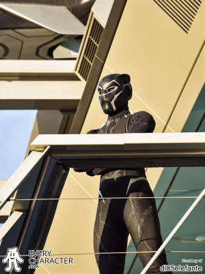 Black Panther Black Panther