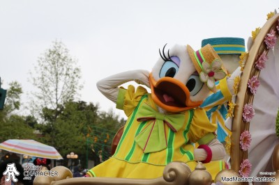 DLP - Disney's Spring Promenade Daisy Duck in the DLP - Disney's Spring Promenade Outfit