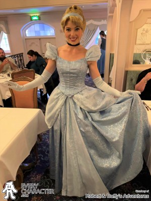 Cinderella in the Regular Look - 2013-... Outfit Cinderella in the Regular Look - 2013-... Outfit