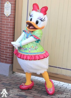 Daisy Duck Daisy Duck