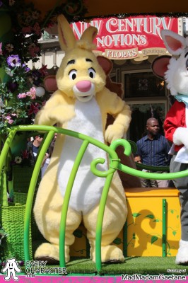 Rabbit in the Regular Look - 2004-... Outfit