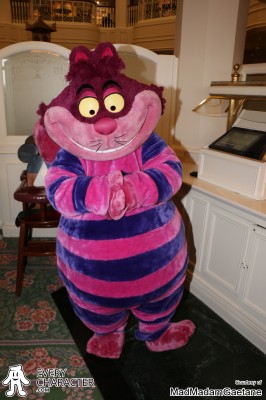 Since 2015 (not in 2016 & 2019) Cheshire Cat in the Regular Look - 2013 -... Outfit Since 2015 (not in 2016 & 2019) Cheshire Cat in the Regular Look - 2013 -... Outfit