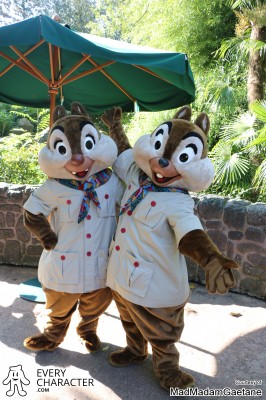 DLP - Adventureland - 2017 Chip with Blue Scarf in the DLP - Adventureland - 2017 Outfit