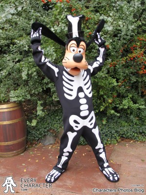 From Goofy From Goofy