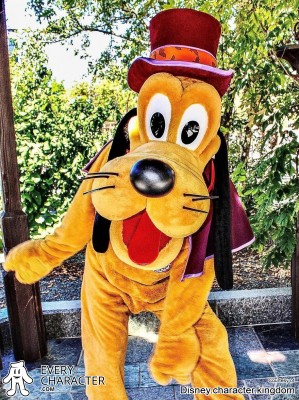 Phantom Pluto Phantom Pluto