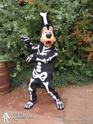 Halloween Halloween