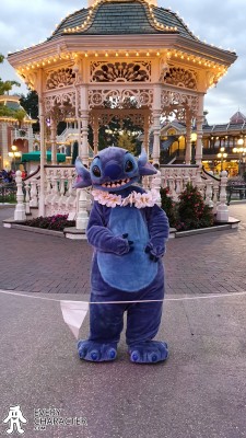 Stitch with Lei in the Regular Look - 2013-... Lei outfit Stitch with Lei in the Regular Look - 2013-... Lei outfit