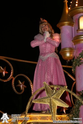 Princess Aurora - Winter Look - 2013-... Aurora in the Princess Aurora - Winter Look - 2013-... Outfit