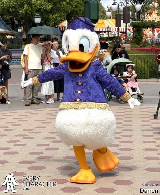 Donald Duck in the SDL - Tai Chi with Character Outfit Donald Duck in the SDL - Tai Chi with Character Outfit