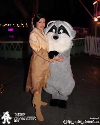 Pocahontas in the Regular Look - 2016-... Outfit