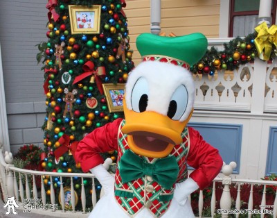 Donald Duck in the DLP - Christmas 2015 Outfit