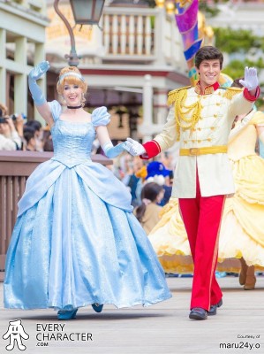 Cinderella in the Regular Look - 2013-... Outfit Cinderella in the Regular Look - 2013-... Outfit