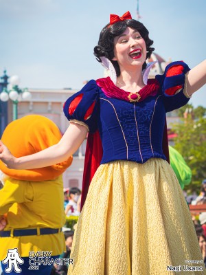 Snow White in the Regular Look - 2013-... Outfit Snow White in the Regular Look - 2013-... Outfit