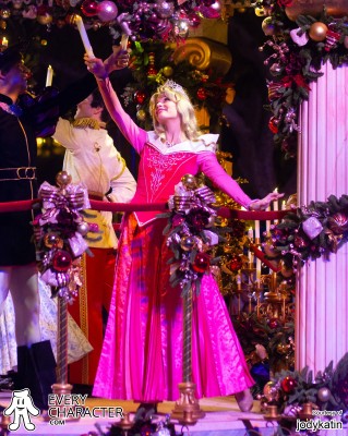 Aurora in the DLR - A Christmas Fantasy Outfit Aurora in the DLR - A Christmas Fantasy Outfit