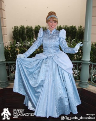 Cinderella in the Regular Look - 2013-... Outfit
