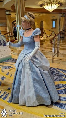 Cinderella in the Regular Look - 2013-... Outfit Cinderella in the Regular Look - 2013-... Outfit