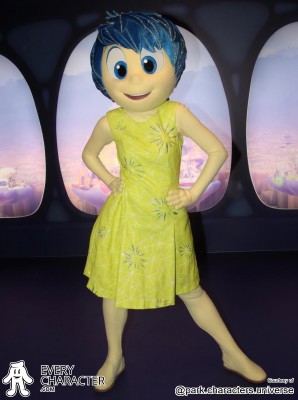 Joy in the Regular Look - 2015-... Outfit