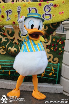 DLP - Swing into Spring Donald Duck in the DLP - Swing into Spring outfit