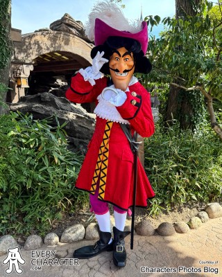 Hook with sword in the Regular Look - 1999-... Sword Outfit Hook with sword in the Regular Look - 1999-... Sword Outfit