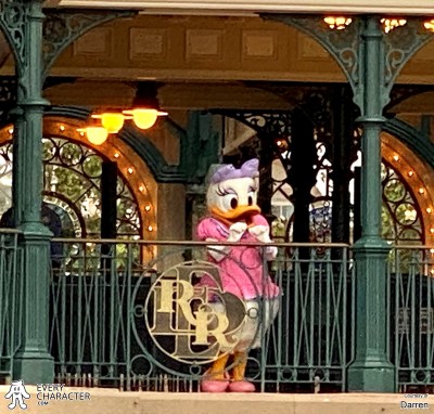 Daisy Duck in the Regular Look - 2002-... Outfit Daisy Duck in the Regular Look - 2002-... Outfit