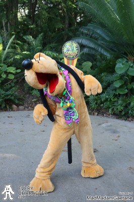 WDW - AK - Donald's Dino-Bash Christmas Pluto in the WDW - AK - Donald's Dino-Bash Christmas Outfit