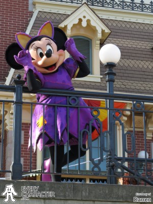 Minnie Cat Minnie Cat