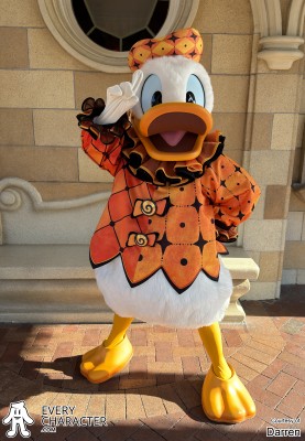 Donald Duck