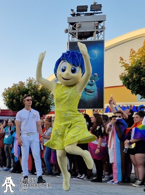 Joy in the Regular Look - 2015-... Outfit