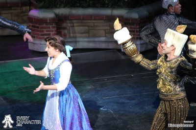 Belle in the DCL - Believe Outfit