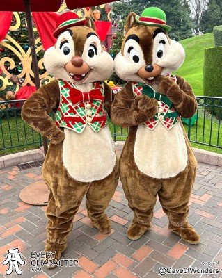 Go Nuts for Christmas Go Nuts for Christmas