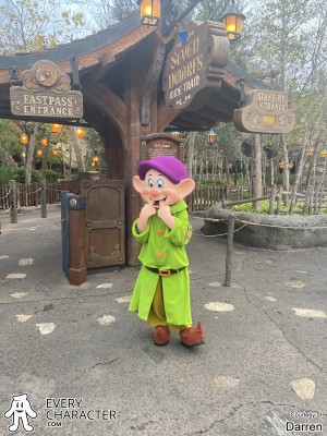 Dopey in the Regular Look - 1996-... Outfit Dopey in the Regular Look - 1996-... Outfit