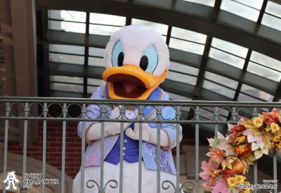 Donald Duck in the WDW - The Earidescent 50th Anniversary Outfit Donald Duck in the WDW - The Earidescent 50th Anniversary Outfit