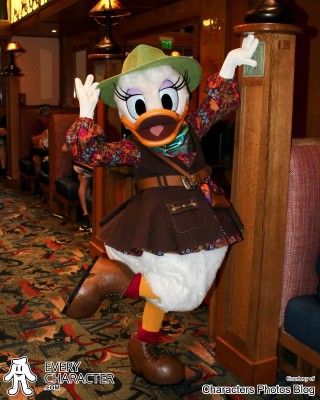 Daisy Duck in the DLR - Storytellers Cafe - Donald's Tales of Adventure Outfit Daisy Duck in the DLR - Storytellers Cafe - Donald's Tales of Adventure Outfit