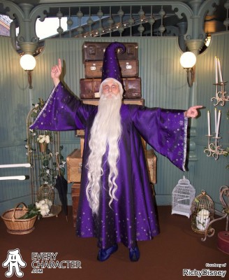 Merlin Disney park character Merlin