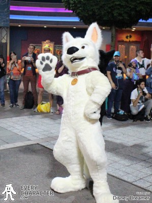 Bolt in the Regular Look - 2009-... Outfit Bolt in the Regular Look - 2009-... Outfit
