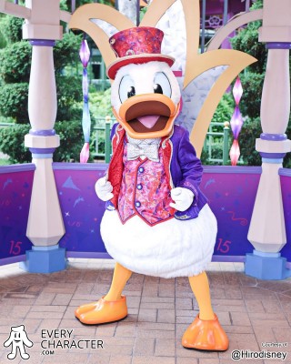 Donald Duck Donald Duck