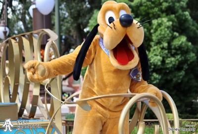 Pluto in the WDW - The Earidescent 50th Anniversary Outfit Pluto in the WDW - The Earidescent 50th Anniversary Outfit